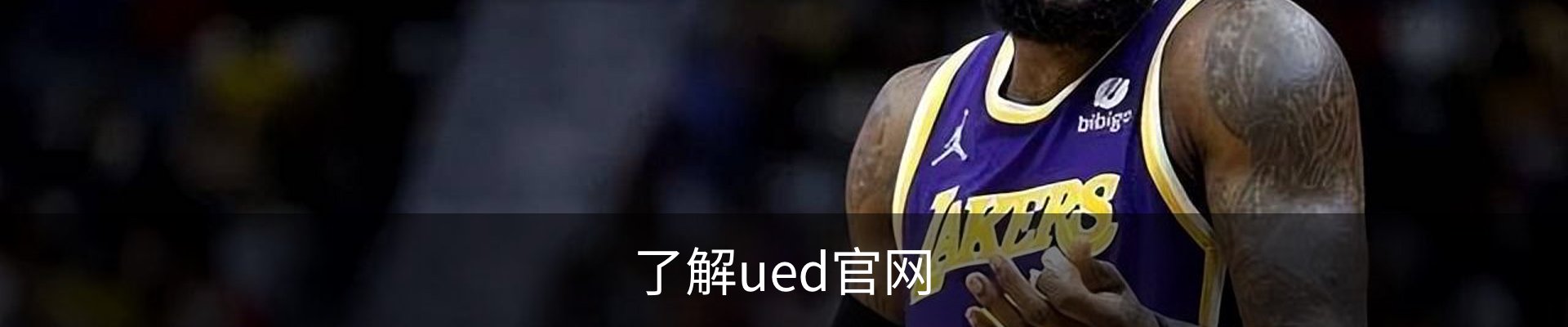 了解ued官网